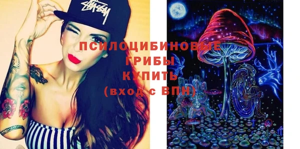 прущие крисы Абаза