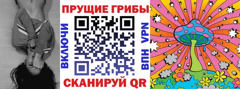 Галлюциногенные грибы Magic Shrooms  Новомичуринск 
